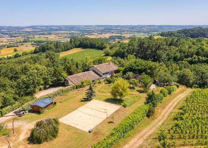 Les Hauts De Jeanvert - Le Cedre - Piscine - Gaillac