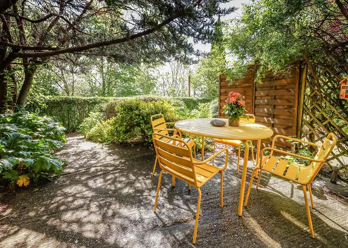 Les Hauts De Jeanvert - Le Chene - Piscine - Gaillac
